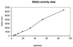 Eurofins DiscoverX Blk Human Protein, Active 10 &mu;g | Buy Online | Eurofins DiscoverX | Fisher Scientific